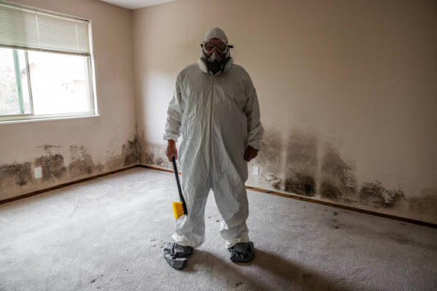 Best Biohazard Mold Removal  in Sewanee, TN